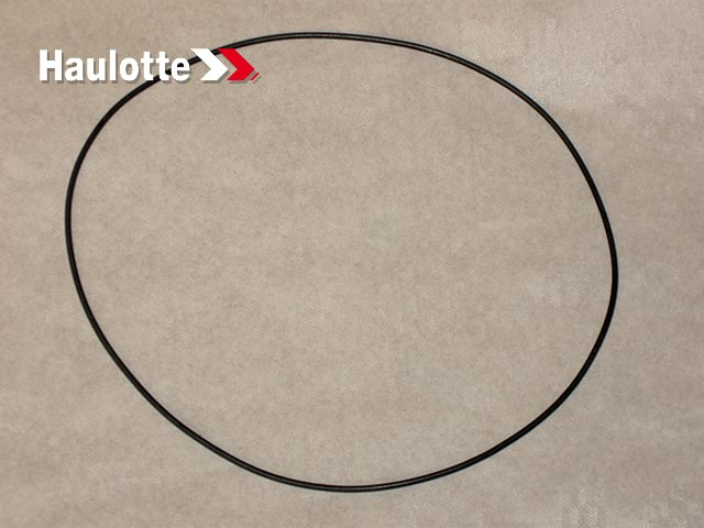 Уплотнительное кольцо (2399004490/4000278890)